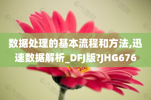 数据处理的基本流程和方法,迅速数据解析_DFJ版?JHG676