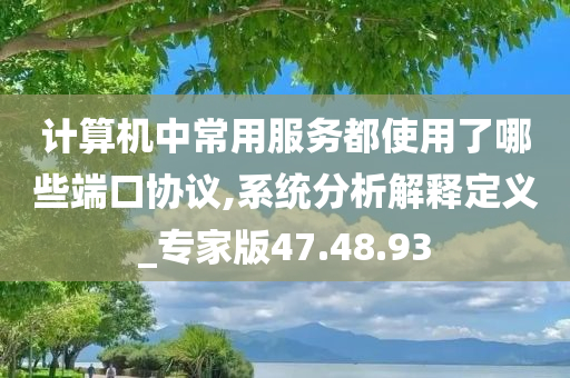 计算机中常用服务都使用了哪些端口协议,系统分析解释定义_专家版47.48.93