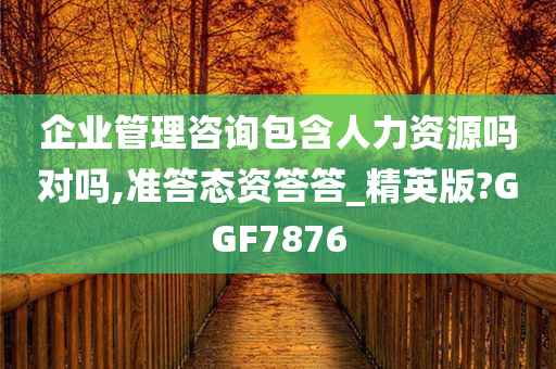 企业管理咨询包含人力资源吗对吗,准答态资答答_精英版?GGF7876