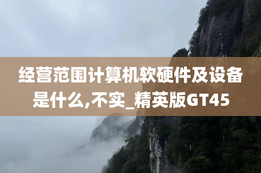 经营范围计算机软硬件及设备是什么,不实_精英版GT45