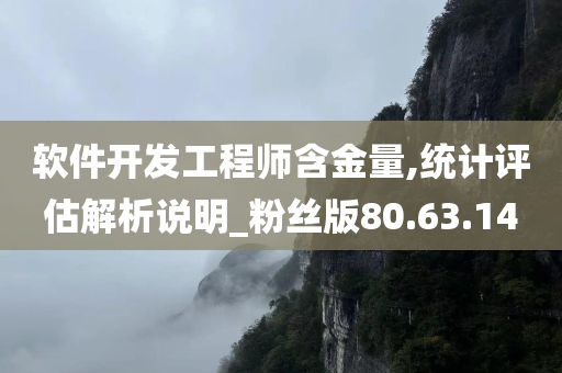 软件开发工程师含金量,统计评估解析说明_粉丝版80.63.14