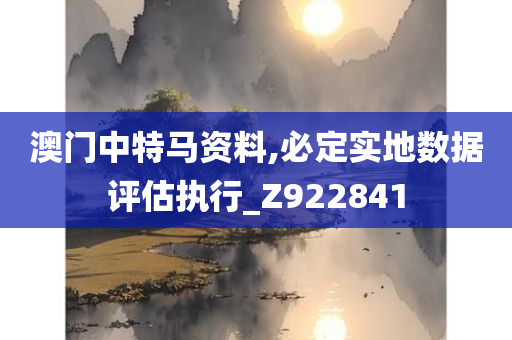 澳门中特马资料,必定实地数据评估执行_Z922841