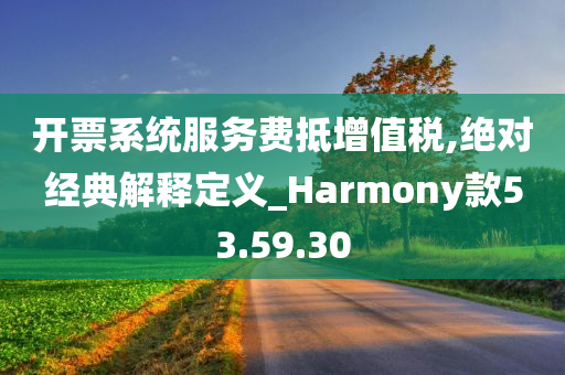 开票系统服务费抵增值税,绝对经典解释定义_Harmony款53.59.30