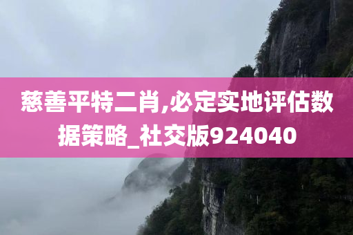 慈善平特二肖,必定实地评估数据策略_社交版924040