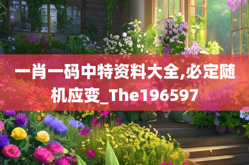 一肖一码中特资料大全,必定随机应变_The196597