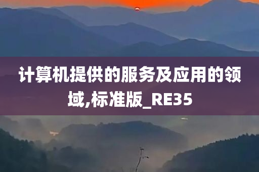 计算机提供的服务及应用的领域,标准版_RE35