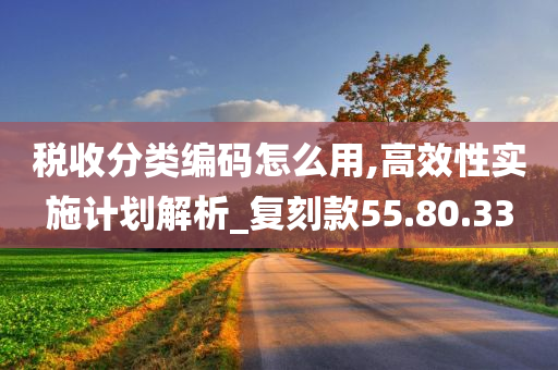 税收分类编码怎么用,高效性实施计划解析_复刻款55.80.33