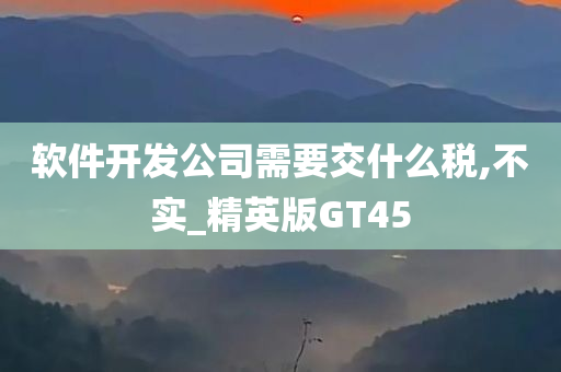 软件开发公司需要交什么税,不实_精英版GT45