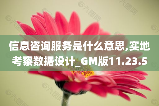 信息咨询服务是什么意思,实地考察数据设计_GM版11.23.50