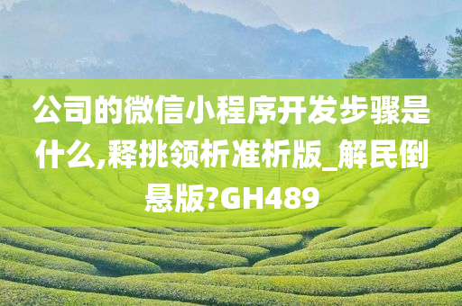 公司的微信小程序开发步骤是什么,释挑领析准析版_解民倒悬版?GH489