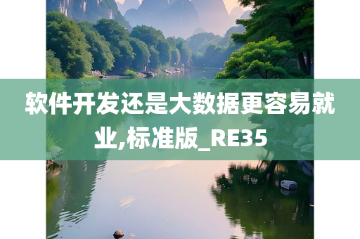 软件开发还是大数据更容易就业,标准版_RE35