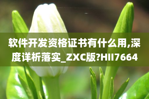 软件开发资格证书有什么用,深度详析落实_ZXC版?HII7664