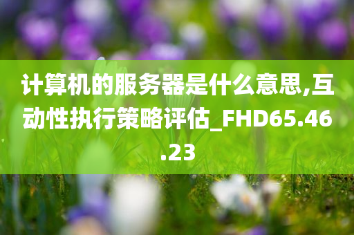 计算机的服务器是什么意思,互动性执行策略评估_FHD65.46.23