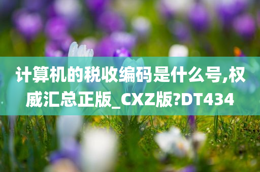 计算机的税收编码是什么号,权威汇总正版_CXZ版?DT434