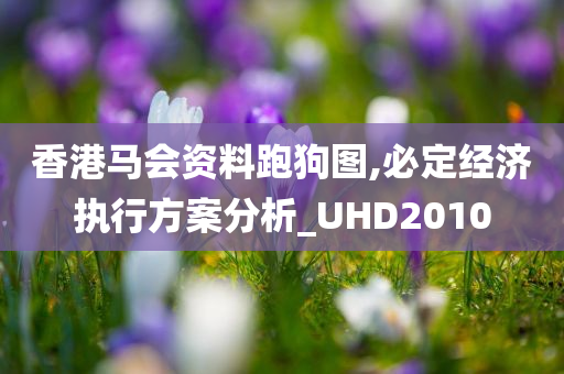 香港马会资料跑狗图,必定经济执行方案分析_UHD2010