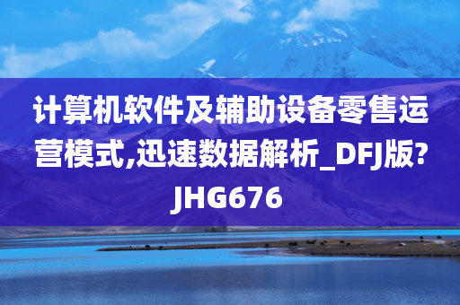 计算机软件及辅助设备零售运营模式,迅速数据解析_DFJ版?JHG676