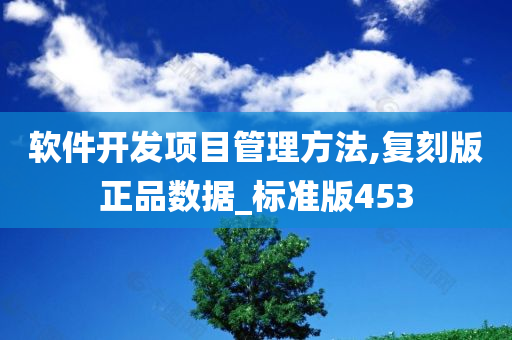 软件开发项目管理方法,复刻版正品数据_标准版453