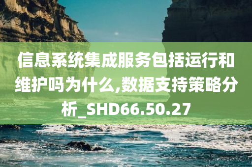 信息系统集成服务包括运行和维护吗为什么,数据支持策略分析_SHD66.50.27