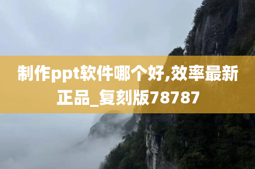 制作ppt软件哪个好,效率最新正品_复刻版78787