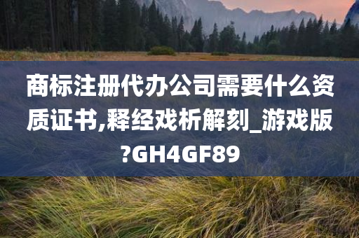 商标注册代办公司需要什么资质证书,释经戏析解刻_游戏版?GH4GF89