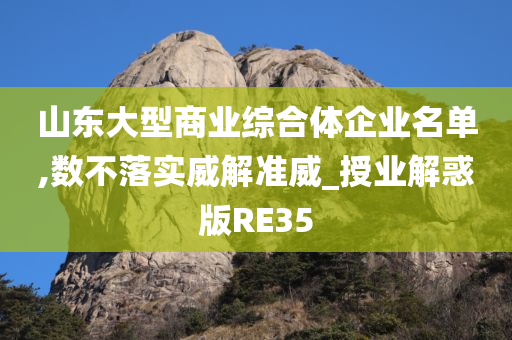 山东大型商业综合体企业名单,数不落实威解准威_授业解惑版RE35