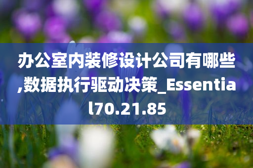 办公室内装修设计公司有哪些,数据执行驱动决策_Essential70.21.85