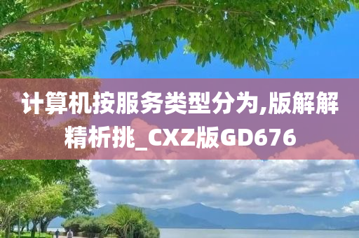 计算机按服务类型分为,版解解精析挑_CXZ版GD676