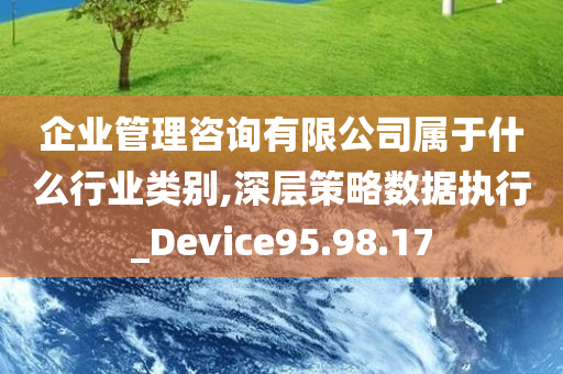 企业管理咨询有限公司属于什么行业类别,深层策略数据执行_Device95.98.17