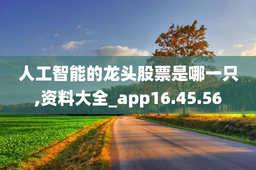 人工智能的龙头股票是哪一只,资料大全_app16.45.56