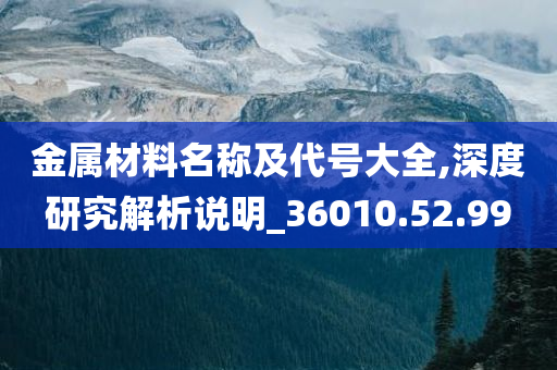 金属材料名称及代号大全,深度研究解析说明_36010.52.99