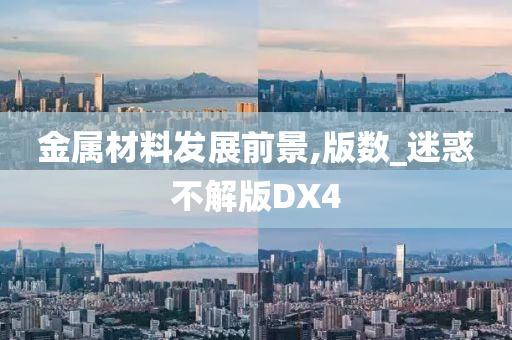 金属材料发展前景,版数_迷惑不解版DX4