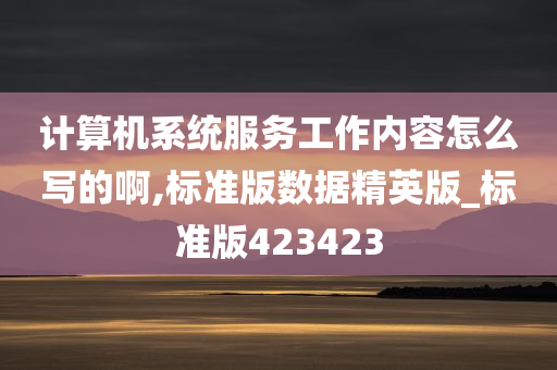 计算机系统服务工作内容怎么写的啊,标准版数据精英版_标准版423423