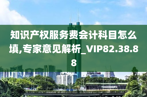 知识产权服务费会计科目怎么填,专家意见解析_VIP82.38.88