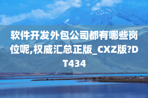 软件开发外包公司都有哪些岗位呢,权威汇总正版_CXZ版?DT434