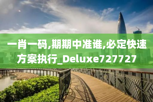 一肖一码,期期中准谁,必定快速方案执行_Deluxe727727