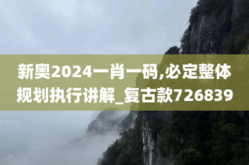 新奥2024一肖一码,必定整体规划执行讲解_复古款726839