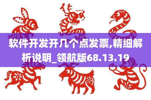 软件开发开几个点发票,精细解析说明_领航版68.13.19