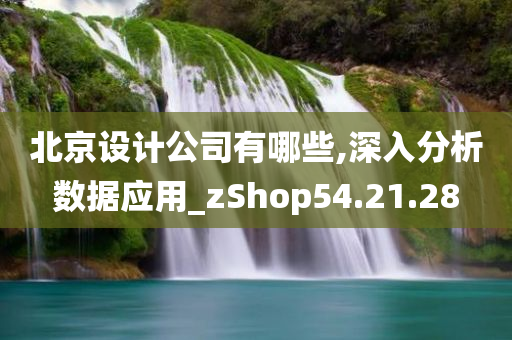 北京设计公司有哪些,深入分析数据应用_zShop54.21.28