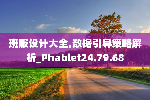 班服设计大全,数据引导策略解析_Phablet24.79.68