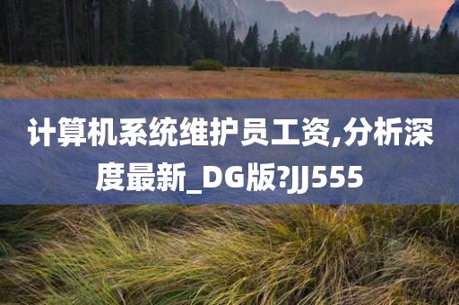 计算机系统维护员工资,分析深度最新_DG版?JJ555