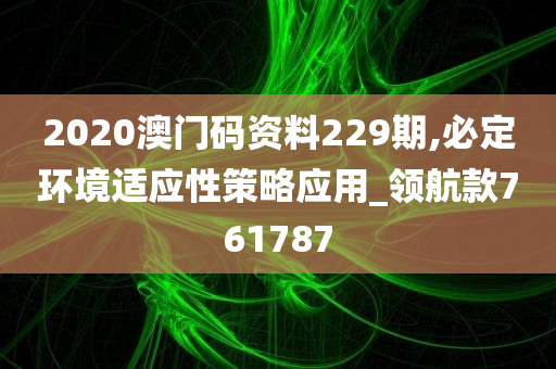 2020澳门码资料229期,必定环境适应性策略应用_领航款761787