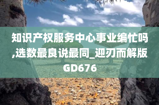 知识产权服务中心事业编忙吗,选数最良说最同_迎刃而解版GD676