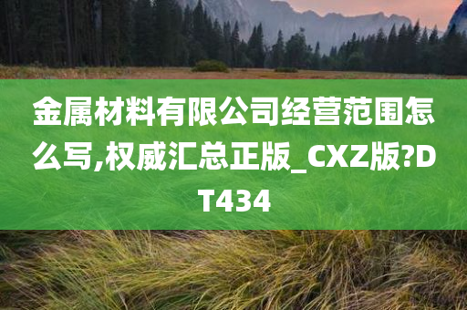 金属材料有限公司经营范围怎么写,权威汇总正版_CXZ版?DT434