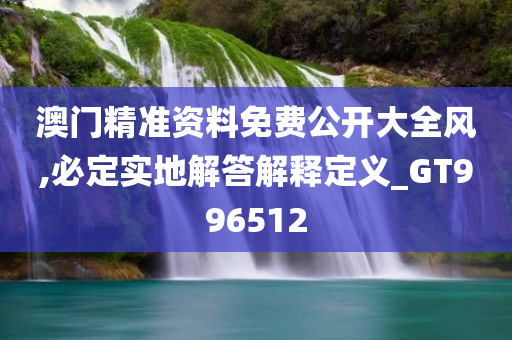 澳门精准资料免费公开大全风,必定实地解答解释定义_GT996512