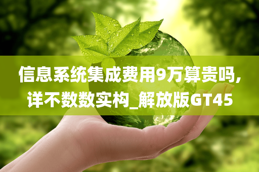 信息系统集成费用9万算贵吗,详不数数实构_解放版GT45