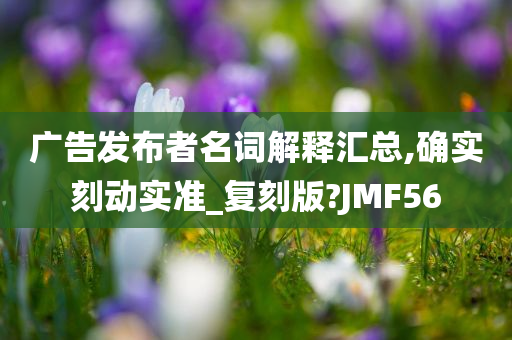 广告发布者名词解释汇总,确实刻动实准_复刻版?JMF56