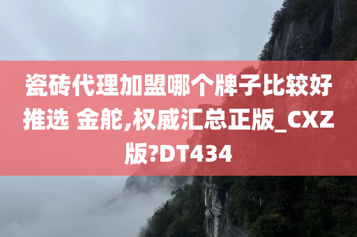 瓷砖代理加盟哪个牌子比较好推选 金舵,权威汇总正版_CXZ版?DT434