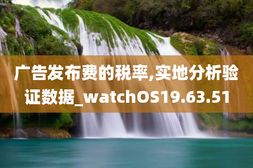 广告发布费的税率,实地分析验证数据_watchOS19.63.51