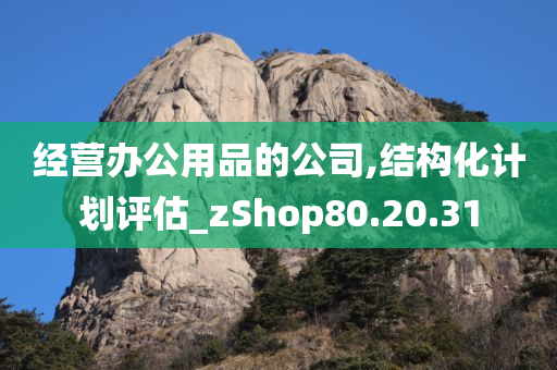 经营办公用品的公司,结构化计划评估_zShop80.20.31