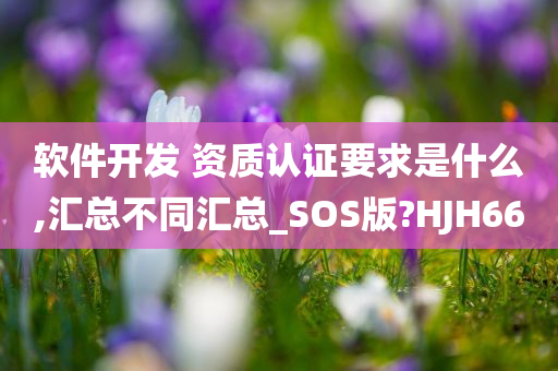 软件开发 资质认证要求是什么,汇总不同汇总_SOS版?HJH66